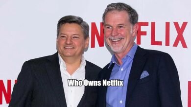 Who Owns Netflix